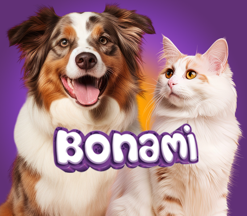 bonami