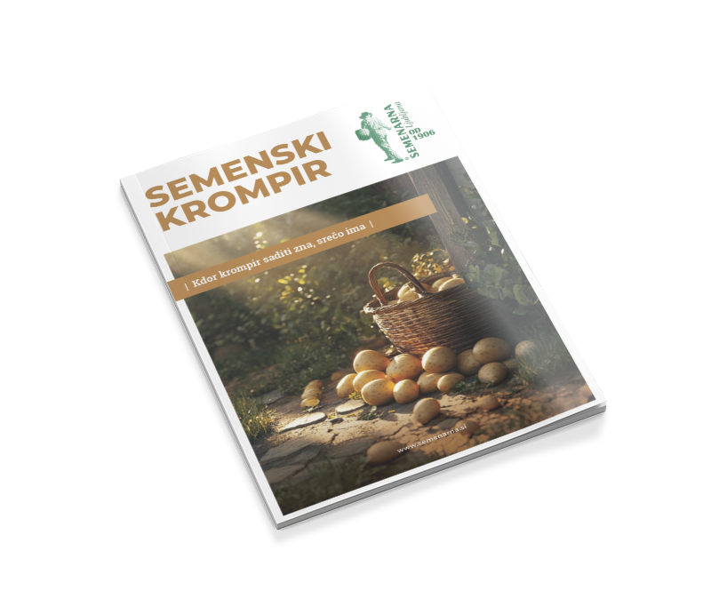 Semenski krompir