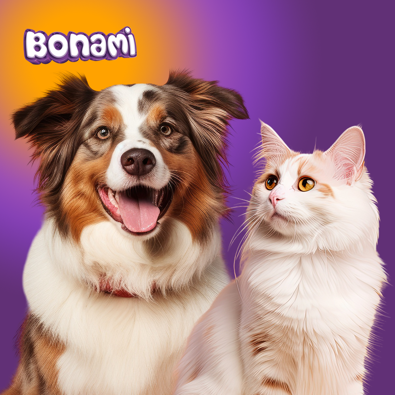 Bonami