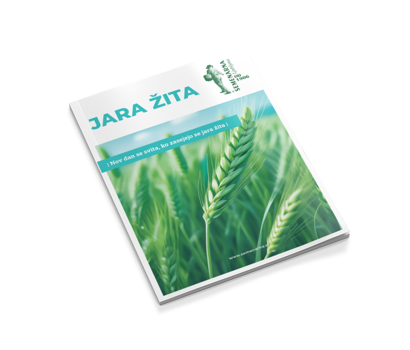 Jara žita