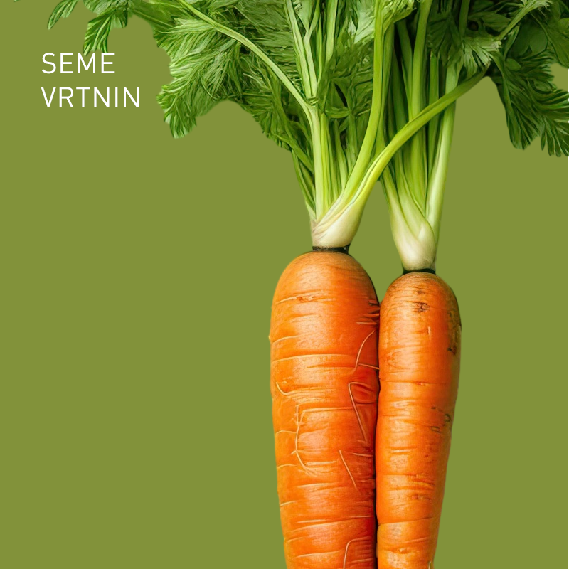 Seme vrtnin