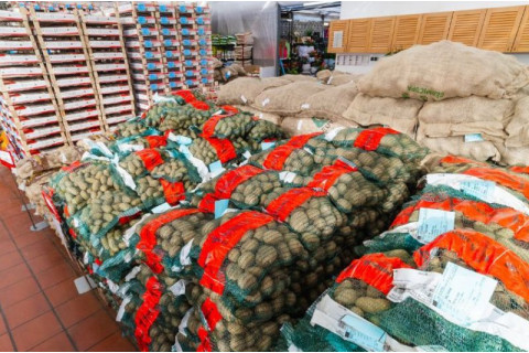 Kaj pomenijo številke in črke na vreči semenskega krompirja?