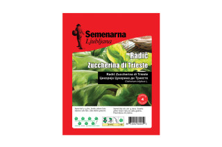 Radič Zuccherina Di Trieste 50 g Semenarna 