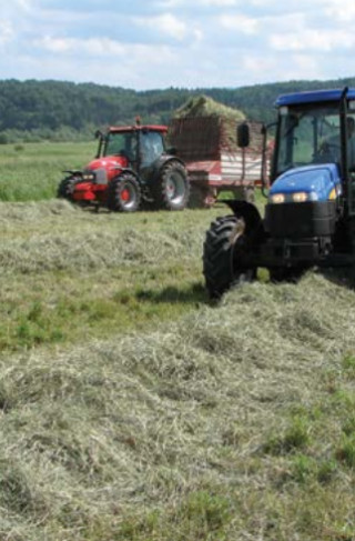 Travnik brez detelje 10 kg 