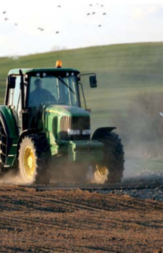 Njiva 1 enoletna mešanica za ozelenitev 10 kg 