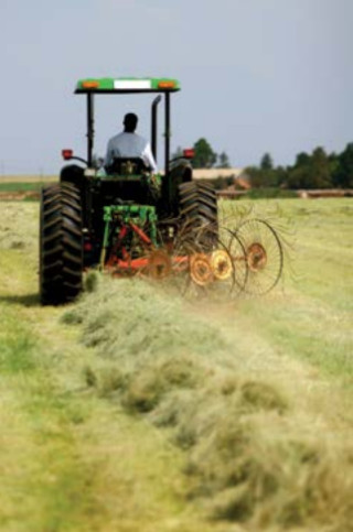 Njiva 2 večletna kompleksna DTM 10 kg 