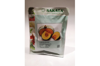 BUČE CROWN PRICE F1 1/500 zrn. netret. 