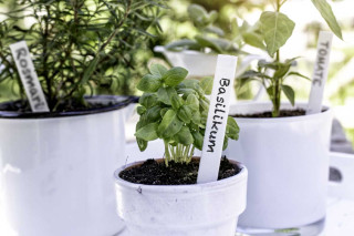 Tablice za označevanje 50/1 + svinčnik 