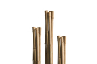 Opornik bambus 60 cm 10 kom 5–7 mm 