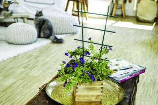 Opora za lončnice 57x31 cm PVC zelena 