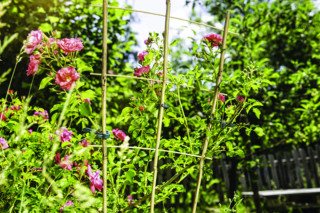 Opora za lončnice bambus 85x32 cm 