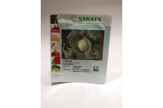 ZELJE NOZOMI F1 1/1000 zrn 