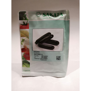 BUČKE ASCONA F1 (repl. Gambit) 1/500  zrn 