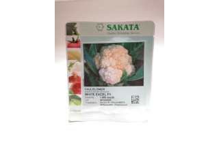 CVETAČA WHITE EXCEL F1  1/1000 zrn netret. 