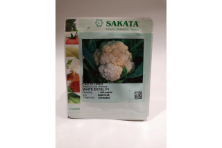 CVETAČA WHITE EXCEL F1  1/1000 zrn netret. 