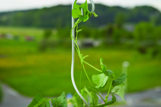 Opora kovinska spirala 180 cm s kavljem 