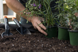 Lopatica vrtna 315 mm Solid 1000694 Fiskars 