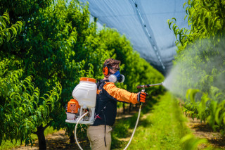 Škropilnica bencinska PS 15E Villager 