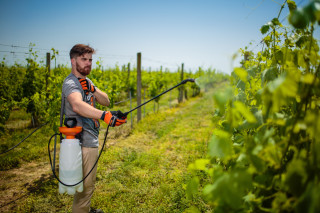 Škropilnica ročna Terra 5 naramna Villager 