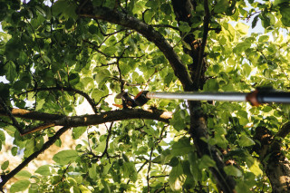 Škarje višinske UPX82 1023625 Fiskars 