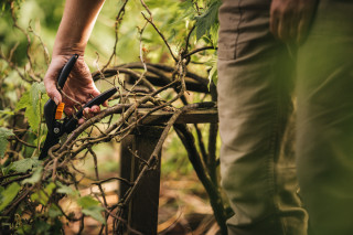 Škarje Bypass P26 SingleStep 1000567 Fiskars 