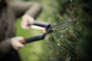 Škarje za živo mejo Single Step HS22 1001433 Fiskars 