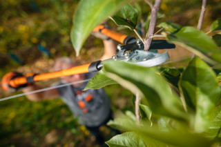 Škarje za veje S. 67-92cm LS 109 Villager 