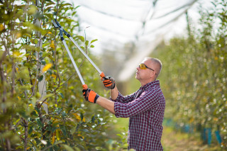 Škarje za veje S. 82cm ALU LS 128 Villager 