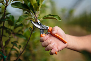 Škarje za obrezovanje 20cm PS 102 Villager 