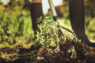 KULTIVATOR 3 ROGLJI 150mm XACT 1027040 Fiskars 