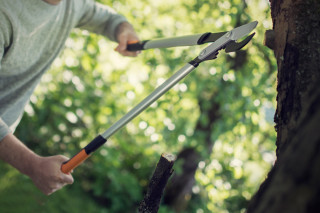 Škarje za veje L LX98 Powergear 1020188 Fiskars 