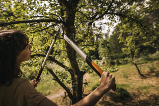 Škarje za veje L LX98 Powergear 1020188 Fiskars 