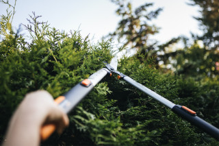 Škarje za živo mejo teleskopske Smartfit HS86 1013565 Fiskars 