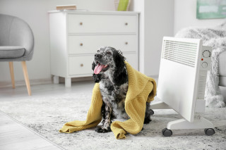 Radiator Električni Panelni Nist PH 2000 