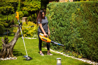 Puhalnik Listja Akumulatorski BL 5040 Zen Villager 