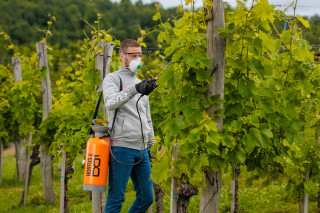 Škropilnica Ročna Hortus 8L Villager 