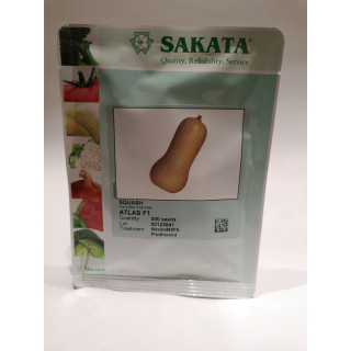 BUČE ATLAS F1 1/500ZRN 