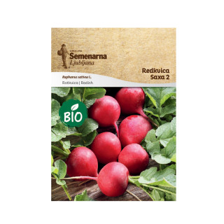 Bio Redkvica Saxa 2 297 Semenarna 