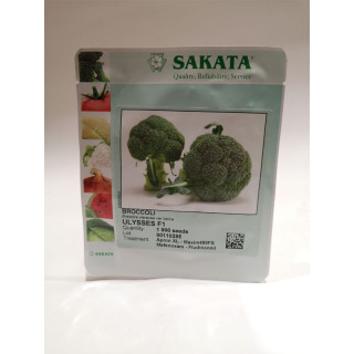 BROKOLI ULYSSES F1 1/1000 zrn 