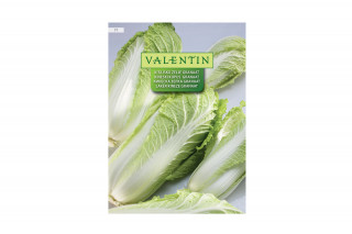 Kitajsko Zelje Granaat 71 Valentin 