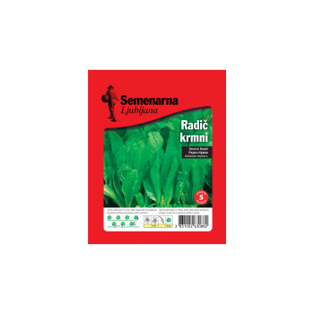 Radič Krmni Di Chiavari 50 g Semenarna 