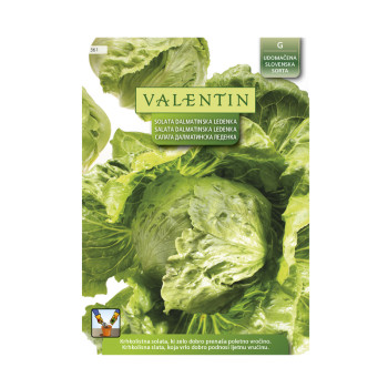 VALENTIN  361 SOLATA DALMATINSKA LEDENKA 