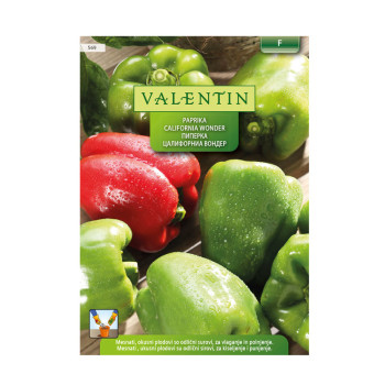 VALENTIN  569 PAPRIKA CALIFORNIA WONDER 