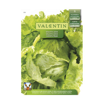 VALENTIN  359 SOLATA LEDA 