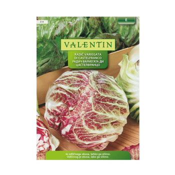 Valentin 419 Radič Variegata Di Castelfranco 