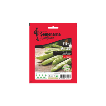 Fižol Antea 100 g Semenarna 