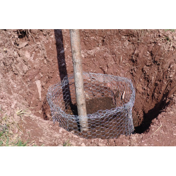 Mreža proti voluharjem za čebulice 3/1 