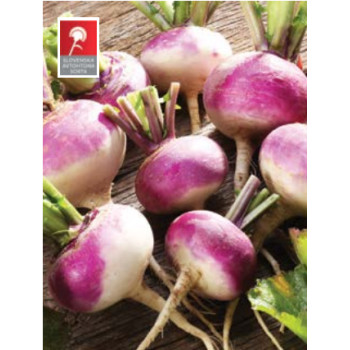 Repa kranjska okrogla 250 g 