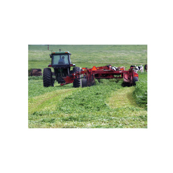 Travnik brez detelje 1 kg 