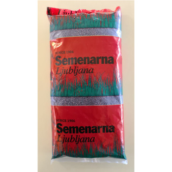 Repa kranjska podolgovata 250 g 